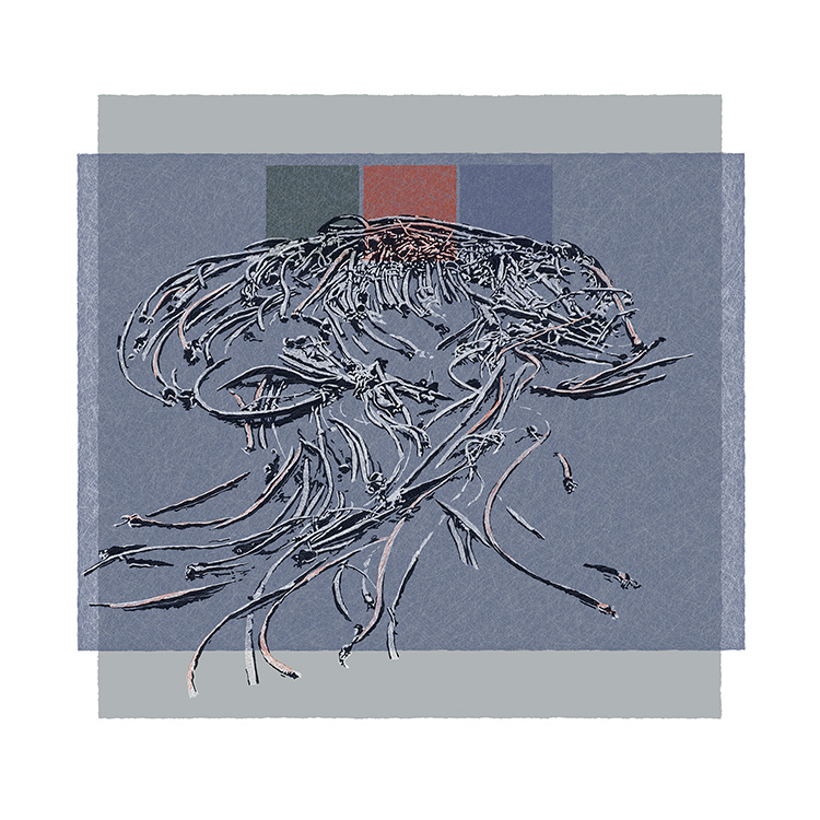 Gyre IV